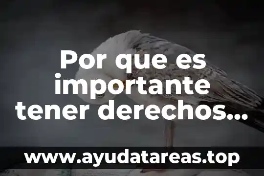 Por que es importante tener dientes sanos 7 Por que es importante tener derechos en una competencia