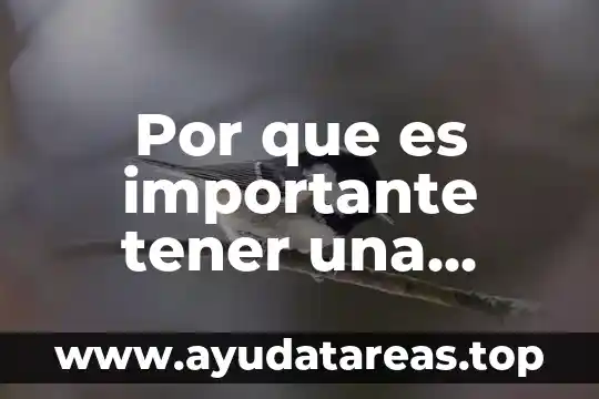 Por que es importante tener una alimentación saludable