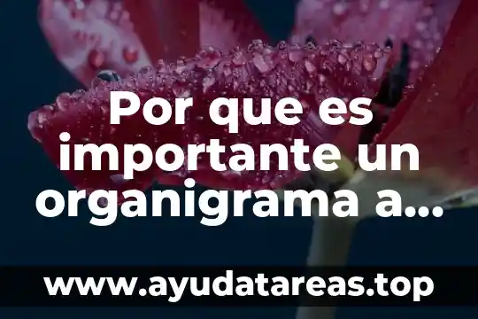 Qué es la estructura organizacional y organigrama diferencias 8 Por que es importante un organigrama a horizontal