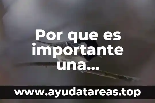 Por que es importante una alimentacion para un vida saludable