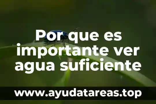 Qué es agua 4 Por que es importante ver agua suficiente