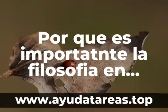 Por que es importatnte la filosofia en bachillerato