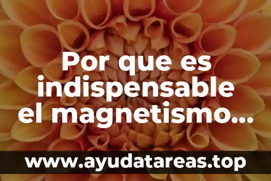 Qué es el magnetismo terrestre significado 3 Por que es indispensable el magnetismo y cuale son