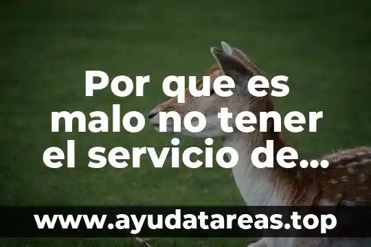 Por que es importante ver agua suficiente 3 Por que es malo no tener el servicio de agua