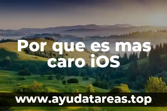 Qué es más caro 110V o 220V CFE 4 Por que es mas caro iOS