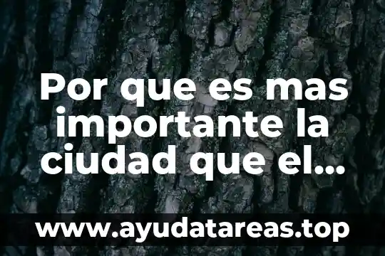 Por que es mas importante la ciudad que el campo