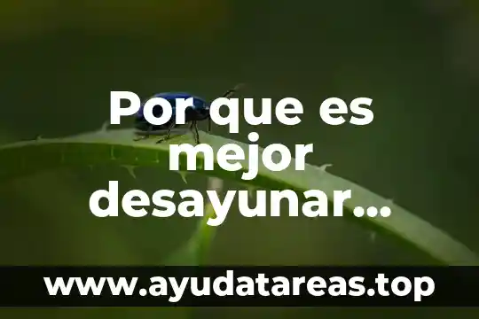 Que es ser saber y hacer en enfermeria 3 Por que es mejor desayunar antes e hacer un trabajo