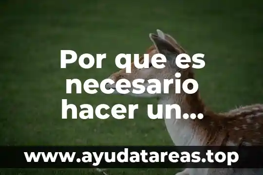 Por que es necesario hacer un contrato
