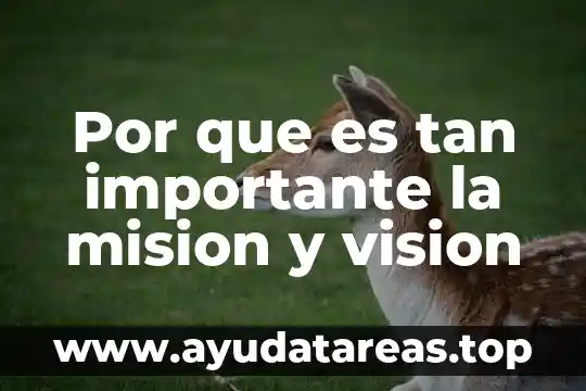 Visión que es 3 Por que es tan importante la mision y vision
