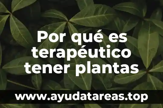 Por que es importante tener dientes sanos 8 Por qué es terapéutico tener plantas