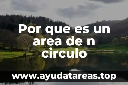 Qué es simboliza n en física 8 Por que es un area de n circulo