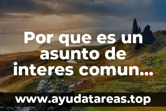 Que es el interes compuesto y un ejemplo real 4 Por que es un asunto de interes comun la reponsabilidad
