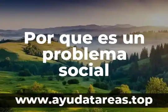 Por que es un problema social