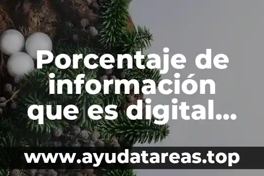 Qué es un convertidor de señal digital 8 Porcentaje de información que es digital en el mundo