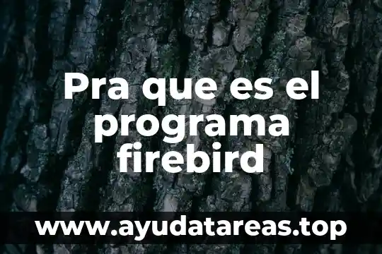 Pra que es el programa firebird