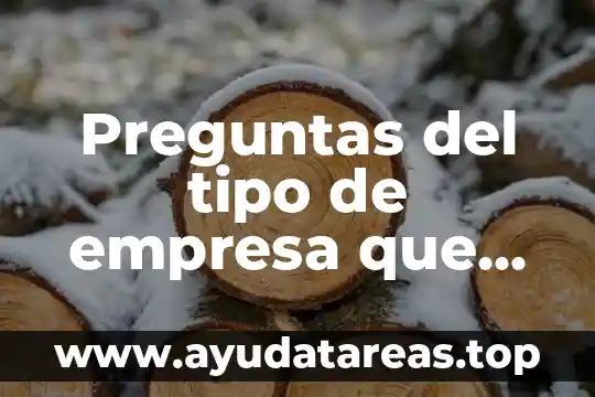 Preguntas del tipo de empresa que es un negocio