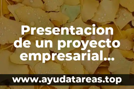 Presentacion de un proyecto empresarial que es el analisis costo-beneficio