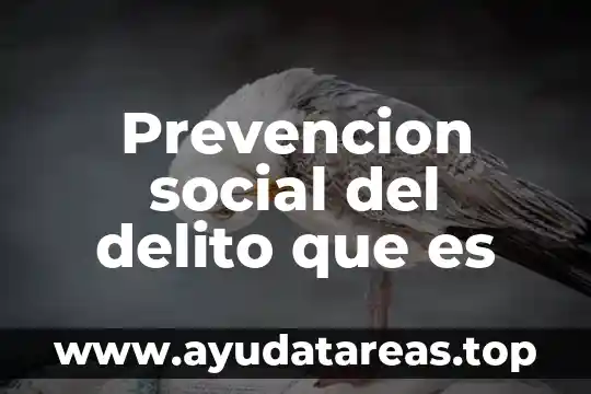 Prevencion social del delito que es