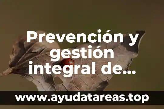 Prevención y gestión integral de residuos que es