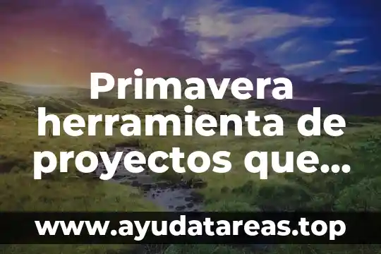 Primavera herramienta de proyectos que es