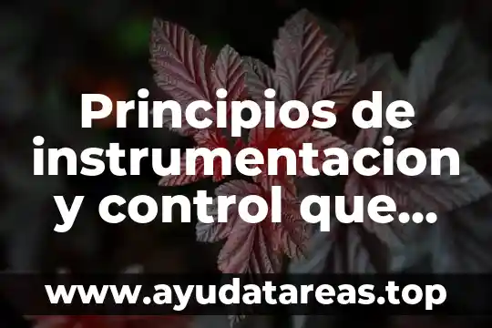 Que es una gotera de agua 6 Principios de instrumentacion y control que es