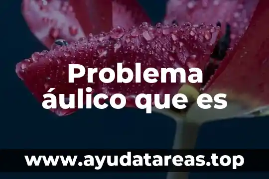 Problema áulico que es