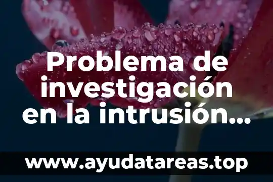 Problema de investigación en la intrusión que es