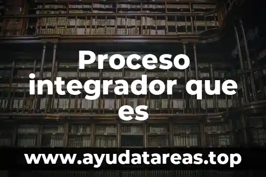 Proceso integrador que es