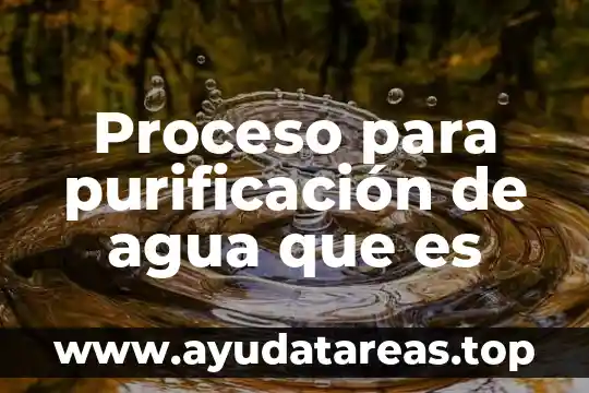 Que es el suministro de agua en forma directa 8 Proceso para purificación de agua que es