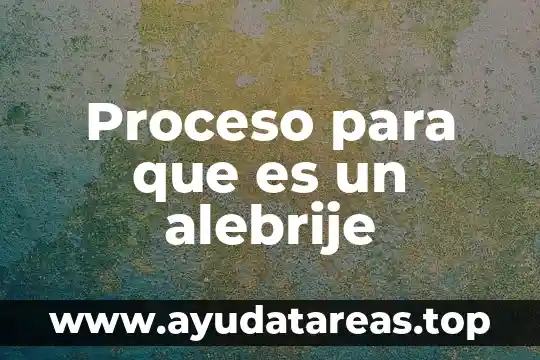 Que es el proceso de apropiacion 5 Proceso para que es un alebrije