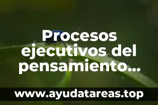 Procesos ejecutivos del pensamiento que es