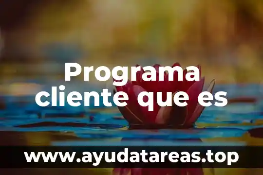 Que es el programa pspp 3 Programa cliente que es