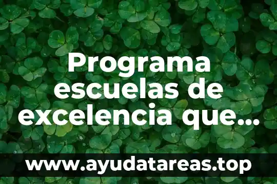Programa escuelas de excelencia que es el pre