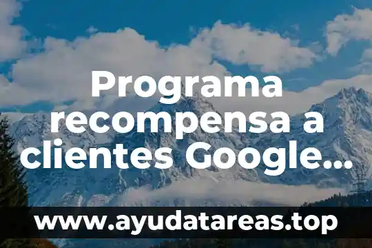 Que es un programa operativo definición 3 Programa recompensa a clientes Google qué es