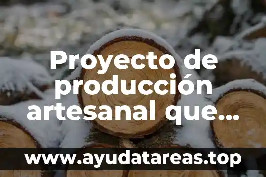 Proyecto de producción artesanal que es