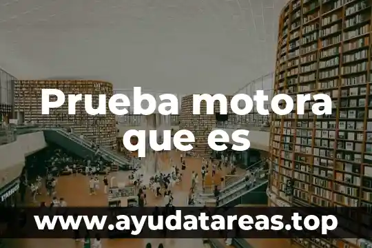 Que es ser estupido dibujos animados 5 Prueba motora que es