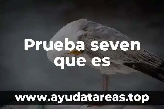 Que es prueba de agua y tono de maquillaje 3 Prueba seven que es