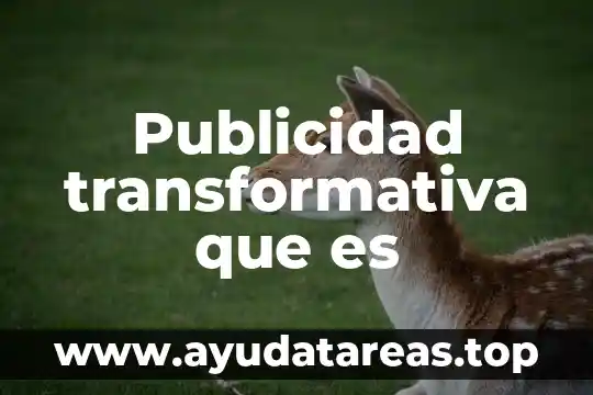 Que es una bandera en publicidad 3 Publicidad transformativa que es