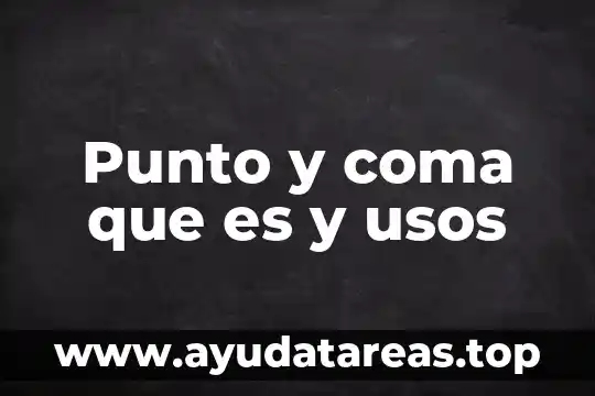 Punto y coma que es y usos