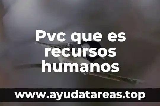 Pvc que es recursos humanos