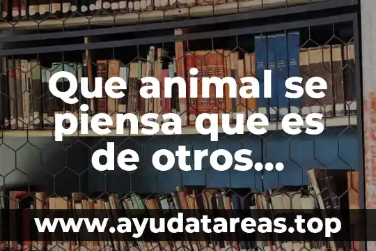 Que es un coati animal 4 Que animal se piensa que es de otros planeta