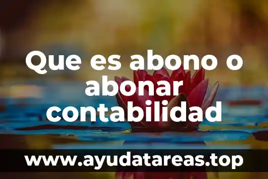 ¿Qué es cargo y abono en contabilidad definición? 3 Que es abono o abonar contabilidad