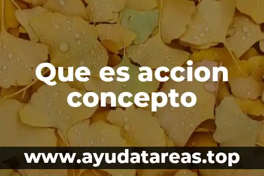 Que es accion concepto