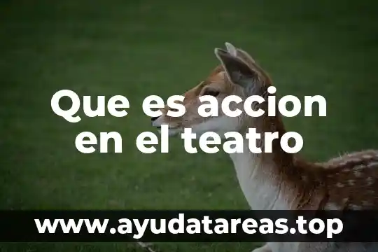 Que es accion en el teatro