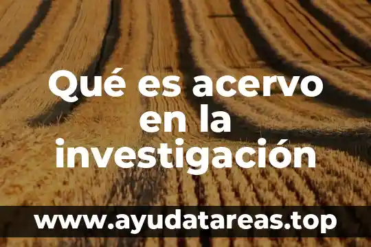 Qué es acervo en la investigación