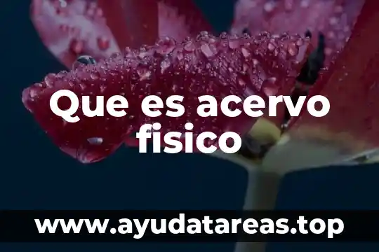 Que es acervo fisico