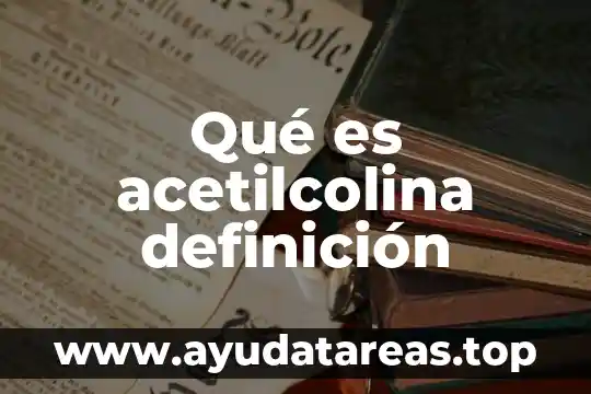 Qué es acetilcolina definición