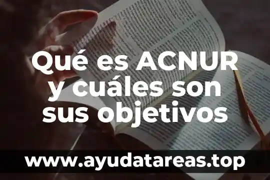 Qué es ACNUR y cuáles son sus objetivos