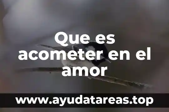 Que es el amor gallego 4 Que es acometer en el amor