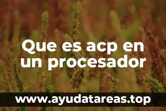 Qué es bandera de un procesador 5 Que es acp en un procesador